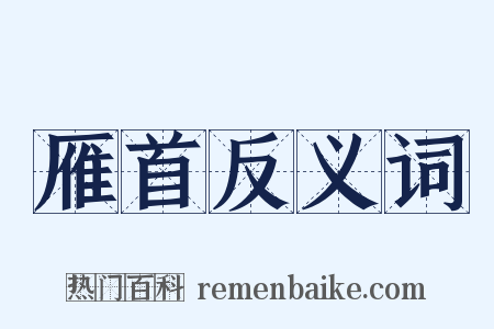雁首反义词是什么意思的图片